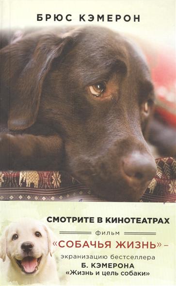 СОБАЧЬЯ ЖИЗНЬ БРЮС КЭМЕРОН СКАЧАТЬ БЕСПЛАТНО СОБАЧЬЯ ЖИЗНЬ БРЮС КЭМЕРОН СКАЧАТЬ БЕСПЛАТНО