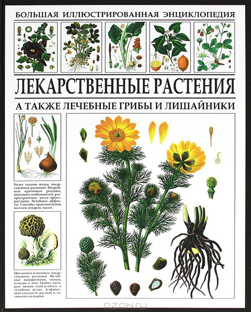 Лекарственные растения книга