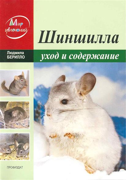 Как сделать рекламу самому Как сделать рекламу самому
