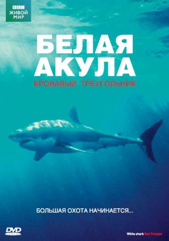 ВВС Белая акула Кровавый треугольник ВВС Белая акула Кровавый треугольник