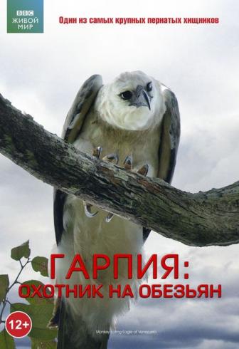BBC: Гарпия: Охотник на обезьян (12+) (DVD) (С-Поставка) BBC: Гарпия: Охотник на обезьян (12+) (DVD) (С-Поставка)