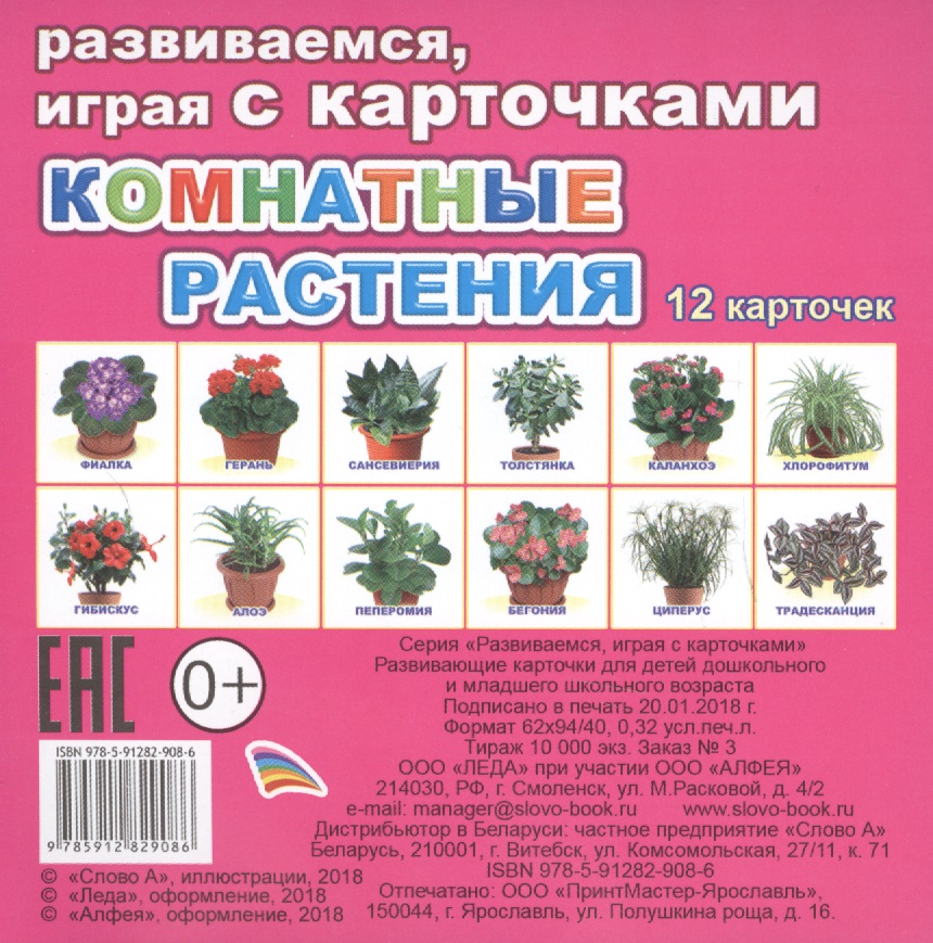 Комнатные растения