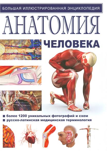Иллюстрированная атлас. Анатомия от Читай-город Иллюстрированная атлас. Анатомия от Читай-город