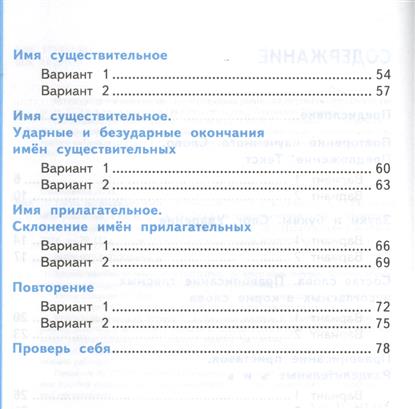 Итоговый проект по русскому языку 11 класс