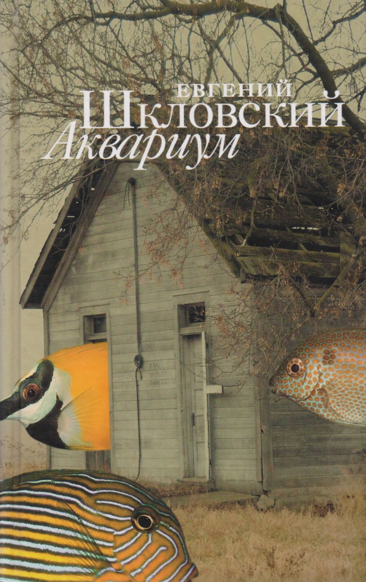 цены Шкловский Е. Аквариум Рассказы
