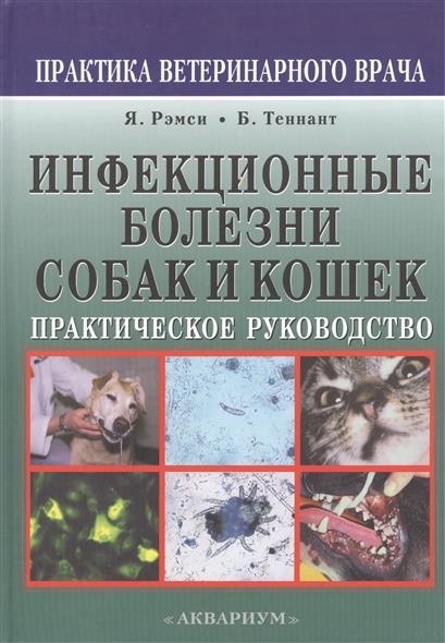Книга Книга