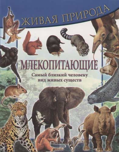 Млекопитающие Млекопитающие